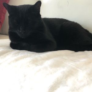 Meet your Posher, Patricia